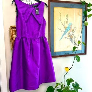 NWT Single Brand A-Line Fit & Flare Dress
